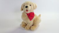 Companion Pet Pup Golden
