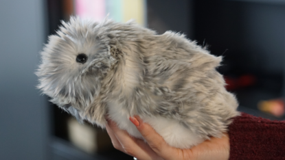 MOFLIN | An AI Pet Robot with Emotional Capabilities