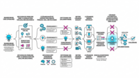User journey